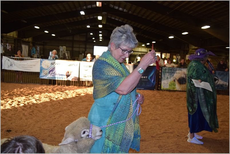 Chris Flitcroft models Team Bees second place shawl. Photo: Peggy Lundquist.